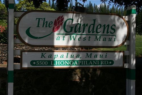 Gardens at West Maui Lejlighedshotel Kapalua Eksteriør billede